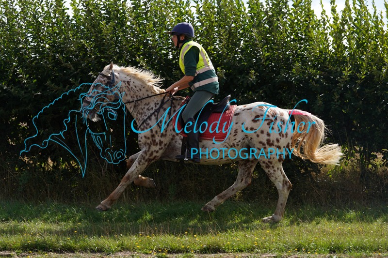 XC104651